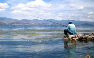 鳙魚怎么釣以及要注意什么，需選擇氣溫超過15℃的天氣作釣