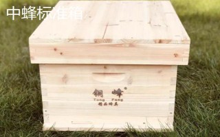 中蜂箱能放幾框合適，標(biāo)準(zhǔn)箱能容納10個(gè)巢框
