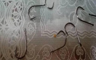 3號(hào)新關(guān)東鉤可以釣多重的鯉魚，8斤以內(nèi)的鯉魚均可垂釣
