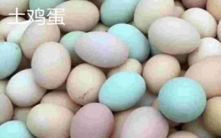 如何鑒別土雞蛋和洋雞蛋，個(gè)頭、顏色等均不同