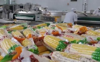 玉米加工成什么產(chǎn)品可增加利潤，制成食用酒精、膨化食品、玉米片等產(chǎn)品比較合適