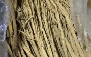 黨參怎么采收和加工，地上部分枯萎后挖出參根、經(jīng)過晾曬揉搓再保存