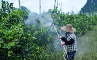 毒死蜱能殺死蚧殼蟲(chóng)嗎，效果不是非常好