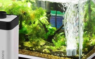 魚缸打氧機(jī)不出泡的解決辦法，可以嘗試將氧氣泵放在高一點(diǎn)的位置