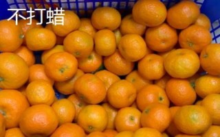 沙糖桔打蠟和不打蠟的區(qū)別，前者顏色偏紅且色澤更加亮