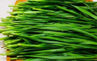 半陰半陽(yáng)適合種什么蔬菜，可以種韭菜、空心菜、蠶豆和花生等