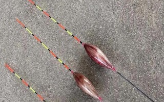 野釣鯽魚用什么漂型，可選擇蘆葦漂或長棗核型浮漂、孔雀翎浮漂