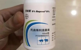 百球清可以和普通的內(nèi)驅(qū)藥一起用嗎，安全性較高可以一起使用