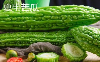 優(yōu)良的苦瓜品種，包括滑身苦瓜、長身苦瓜、夏豐苦瓜等種類