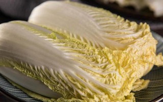 娃娃菜一畝能產(chǎn)多少斤，畝產(chǎn)量在12000-24000斤