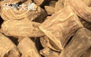 甘肅省酒泉市的特產(chǎn)水果，包括瓜州蜜瓜、瓜州西瓜等種類