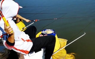 臺釣鯽魚子線要多長，根據(jù)魚情、季節(jié)、釣法等決定