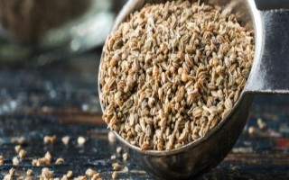 芹菜籽能直接放土里種嗎，表皮堅(jiān)硬需浸泡催芽