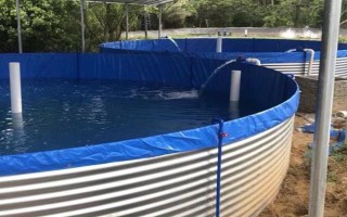 黑魚能長多少斤，黑魚能長到8-9千克
