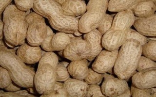 哪些農(nóng)作物在秋季成熟，包括花生、玉米、西紅柿等品種