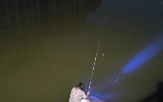 冬天夜釣鯉魚怎么選釣點(diǎn)，最好根據(jù)水域來(lái)選擇