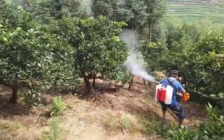 乙基多殺菌素有什么作用，可快速滅殺農(nóng)業(yè)害蟲(chóng)