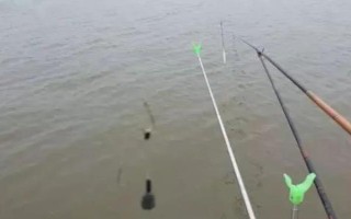 春天釣鯽魚用什么漂，根據(jù)垂釣場所調(diào)整浮漂選擇