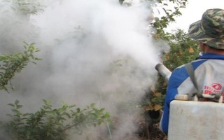 對(duì)果樹(shù)使用農(nóng)藥的原則，選擇正確的藥物才能起到防效