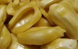 菠蘿蜜的上市時間，通常為9-10月份