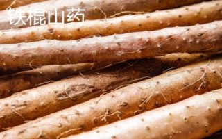 中國山藥之鄉(xiāng)指的是哪里，指的是河北保定市蠡縣