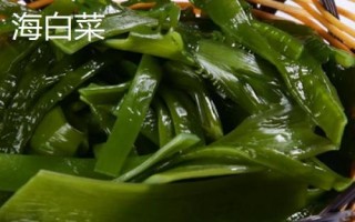 海藻的種類，均可以食用