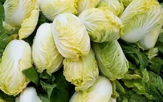 娃娃菜有甲醛嗎，含有微量的甲醛但不會(huì)對(duì)身體造成危害