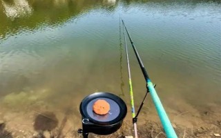 2.0號(hào)子線可以釣多重的魚(yú)，確保質(zhì)量能應(yīng)付10斤以內(nèi)的魚(yú)類