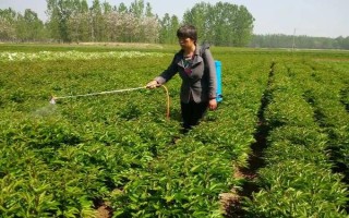 農(nóng)藥使用注意事項，首先要認(rèn)清其適用范圍