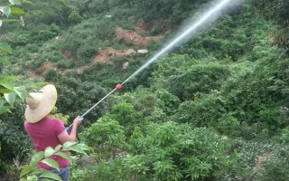 對(duì)果樹(shù)使用農(nóng)藥的原則，選擇正確的藥物才能起到防效