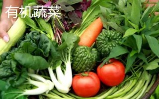有機(jī)蔬菜與綠色蔬菜的區(qū)別，前者禁用化學(xué)物質(zhì)、后者按標(biāo)準(zhǔn)體系生產(chǎn)