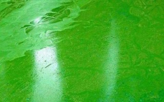 水產(chǎn)養(yǎng)殖中藻類生長過旺怎么抑制，可換水清藻或防治水肥等