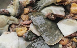甲魚(yú)的宰殺方法，翻身后再砍斷脖子