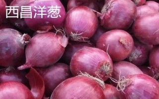 四川省西昌市的特產(chǎn)，彝族漆器是必帶的旅游紀(jì)念品