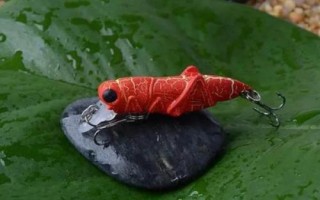 水庫淡水鱸魚怎么釣，真餌或假餌都適用