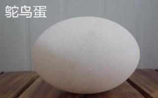 蛋的品種，最常見(jiàn)的種類(lèi)是雞蛋