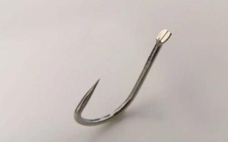 1號袖鉤能釣多大的鯽魚，能釣1兩以內的鯽魚