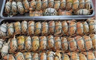 大閘蟹死了多久不能吃，死亡4小時(shí)不能吃