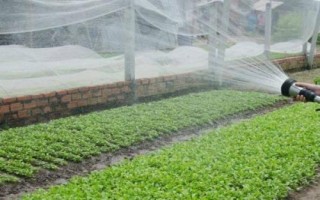 水溶肥如何使用才生效，稀釋后可隨水沖施