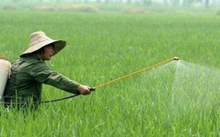 殺蟲單的使用注意事項(xiàng)，不得與堿性農(nóng)藥等物質(zhì)混用