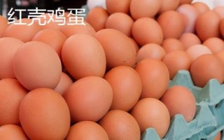 白殼雞蛋和紅殼雞蛋有什么區(qū)別，主要差異在于顏色不同