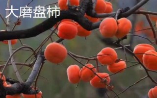 北京的特產(chǎn)，這十大特產(chǎn)必買