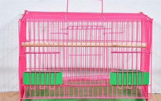 玄鳳鸚鵡最適合什么樣的鳥籠，用金屬的籠具飼養(yǎng)最為合適
