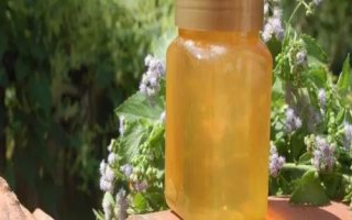 百花蜜和棗花蜜的區(qū)別，色澤和口感均不同