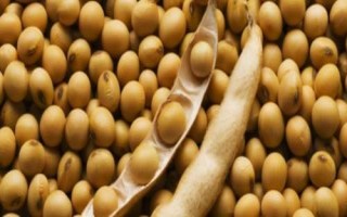 大豆的價格，具體售價因包裝規(guī)格等條件而異