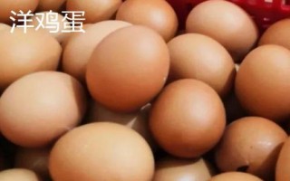 如何鑒別土雞蛋和洋雞蛋，個(gè)頭、顏色等均不同