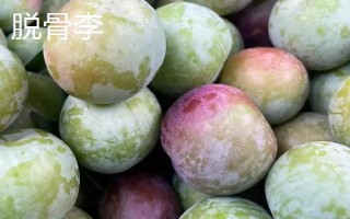 綠色的李子品種，常見的有蜂糖李、脫骨李等