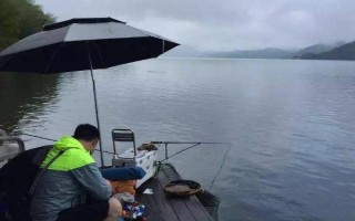 在哪種氣壓下不宜釣魚，低于990百帕?xí)r不適合作釣
