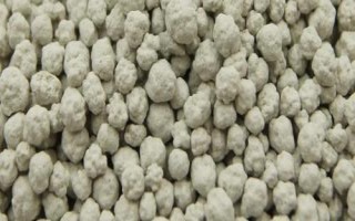 貓砂有哪些種類，膨潤土貓砂、豆腐貓砂、原木貓砂等種類較常見
