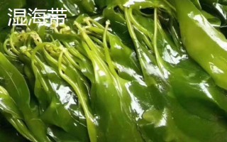 濕海帶和干海帶哪個好，各有各的好處